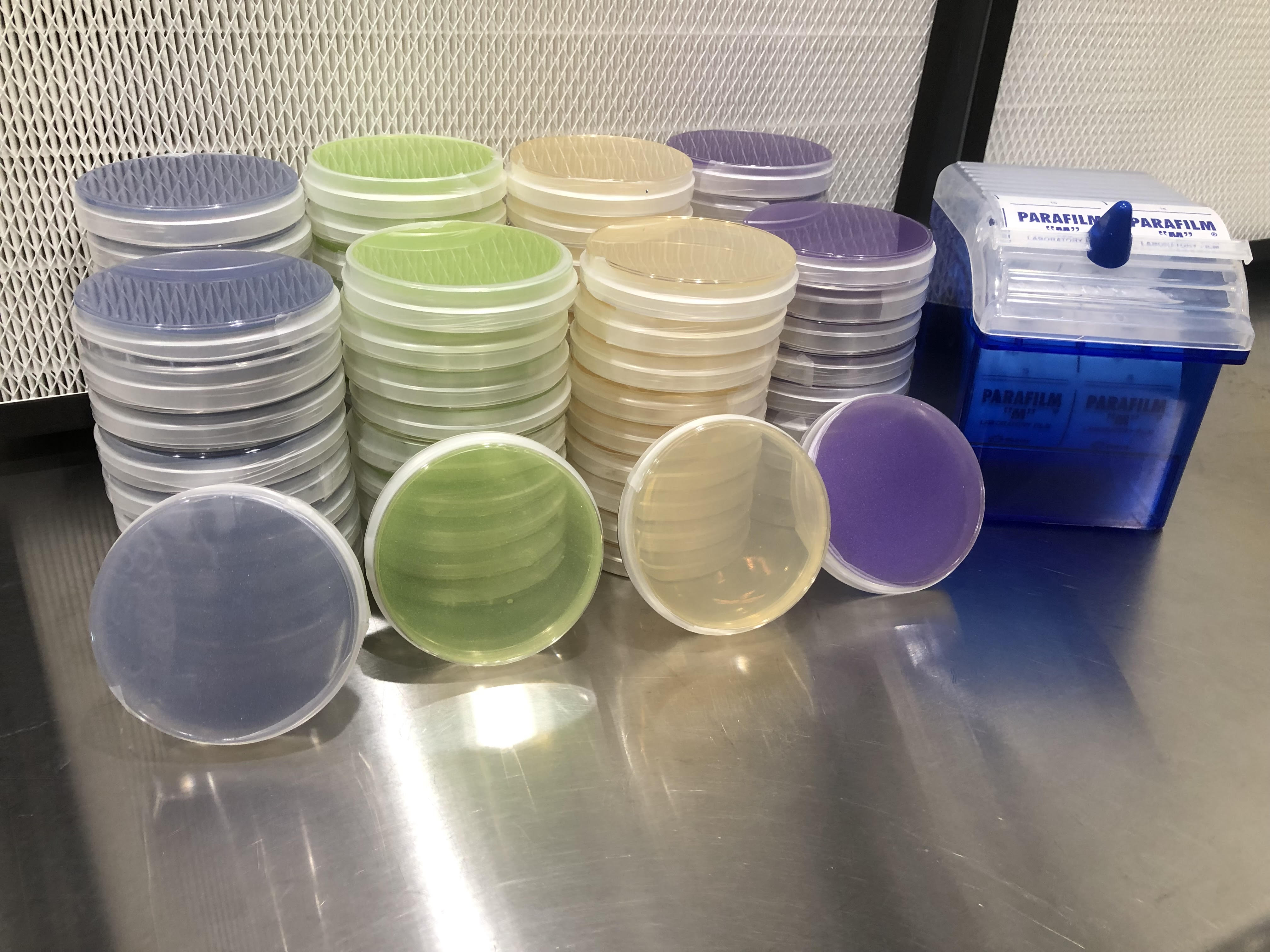 Agar Plates LMEA MushBagz Urban Ag Supply agar-plates-lmea-mushbagz-urban-ag-supply