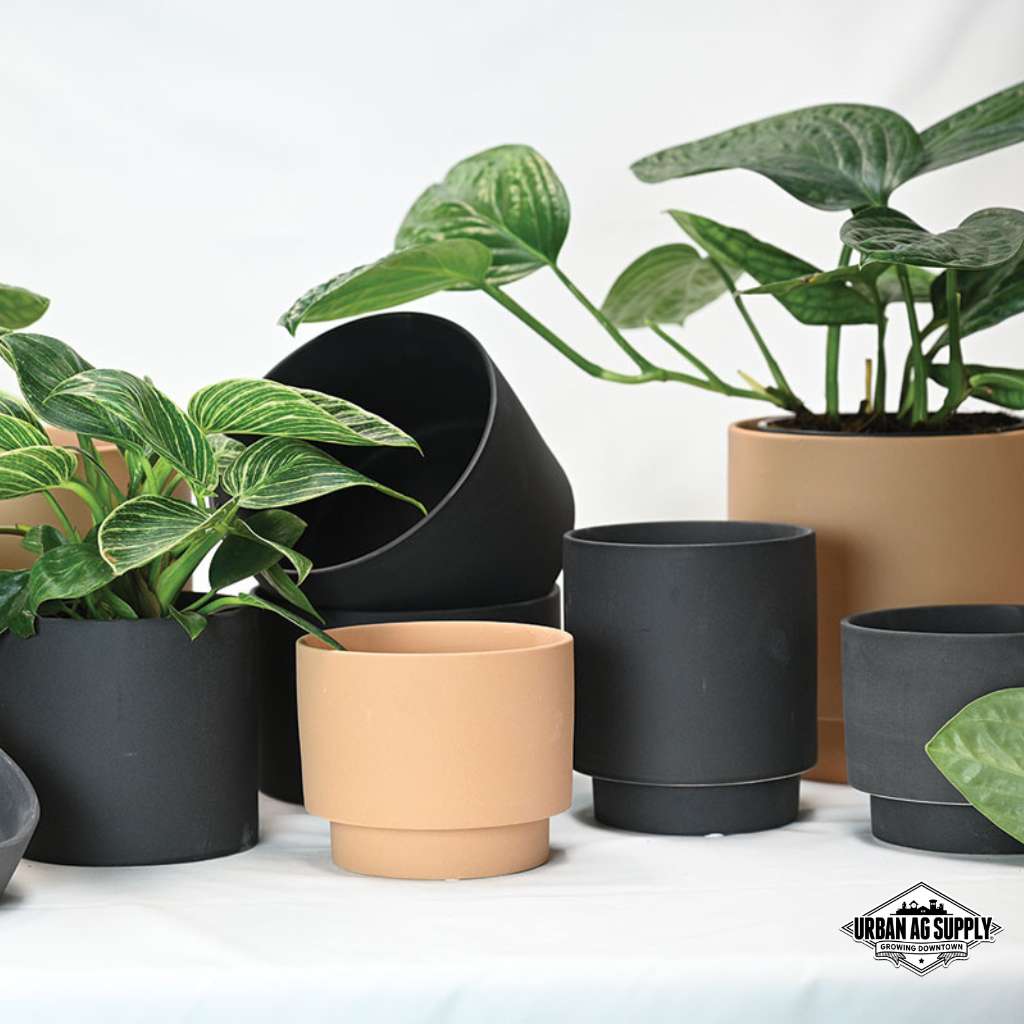 Ceramic & Glazed Indoor Pots