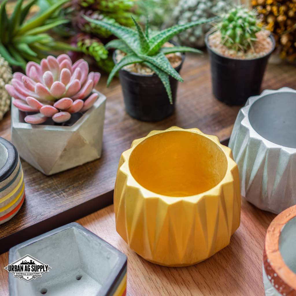 Pots & Planters