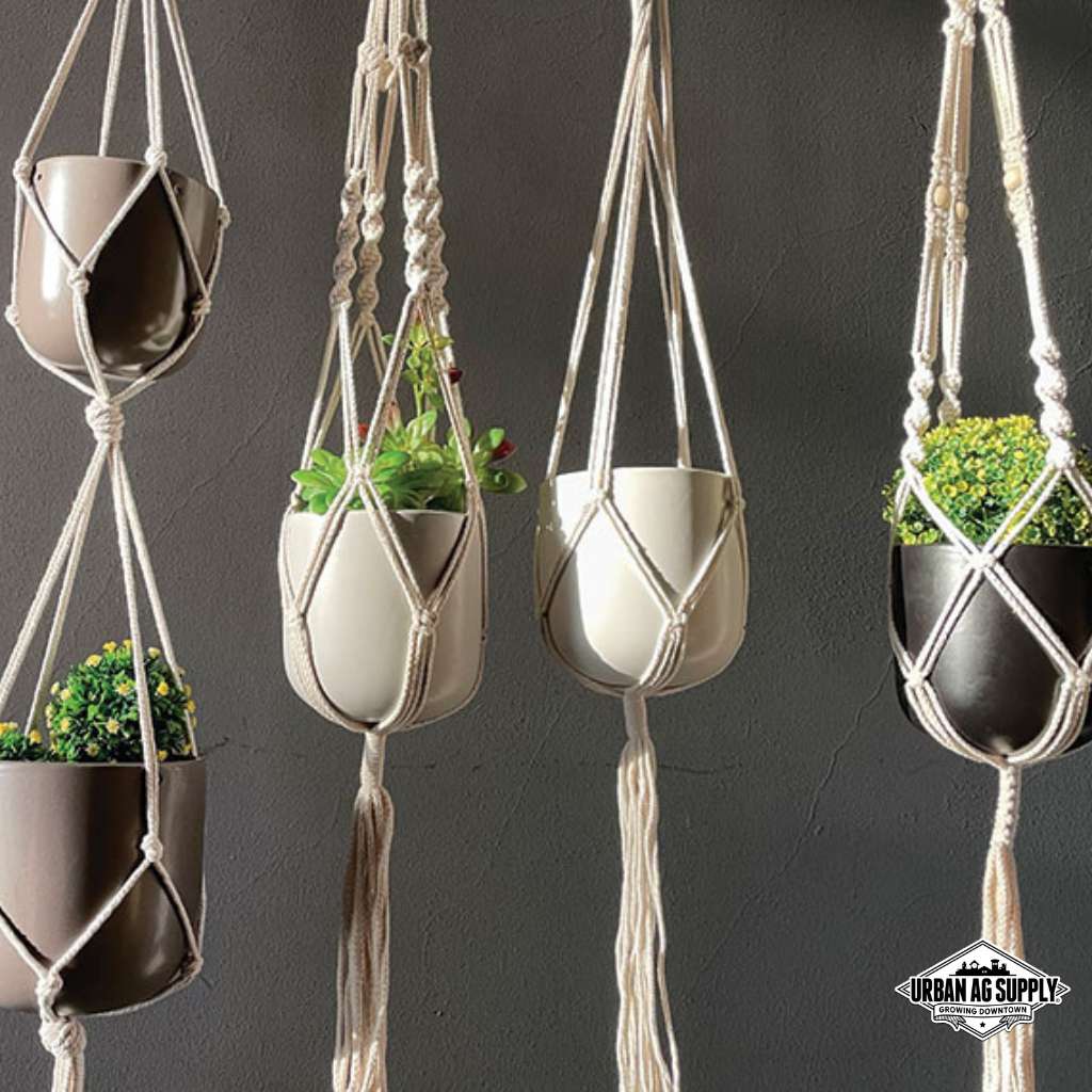 Houseplant Stands & Hangers