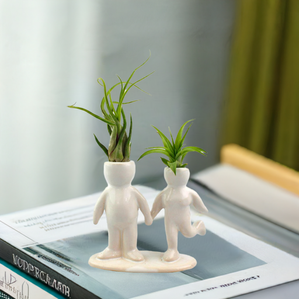 Air Head Figurine Planter for Air Plants "Happy Couple"