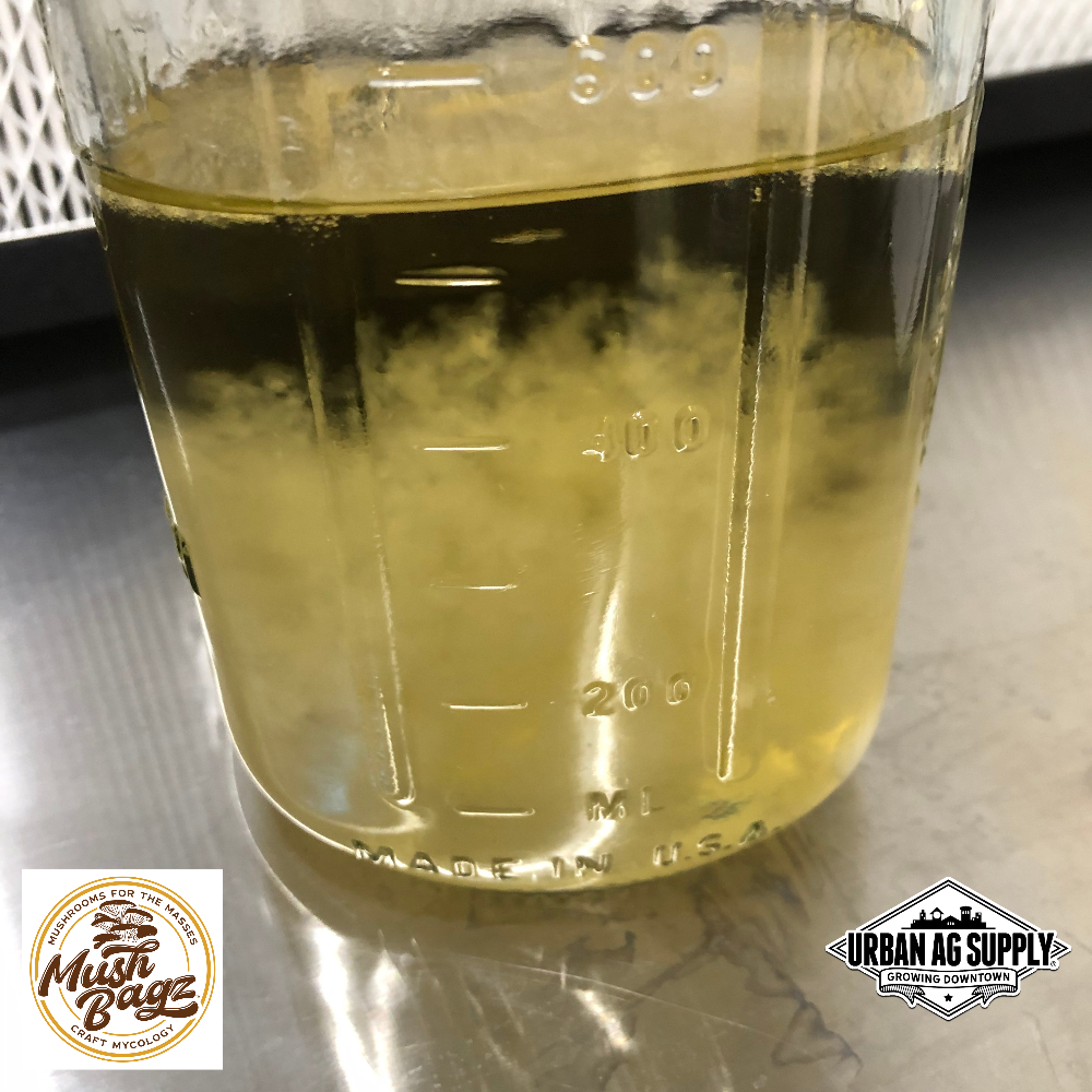 Live Liquid Cultures - MushBagz