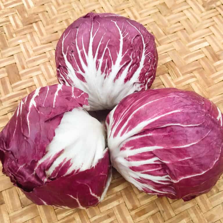 Radicchio, Palla Rossa Melot (Organic) by Adaptive Seeds -seed packet