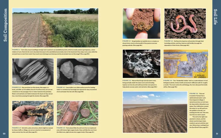 The Complete Guide to Restoring Your Soil