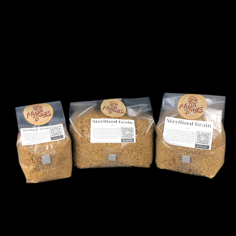 Millet Sterilized Grain Bag - MushBagz