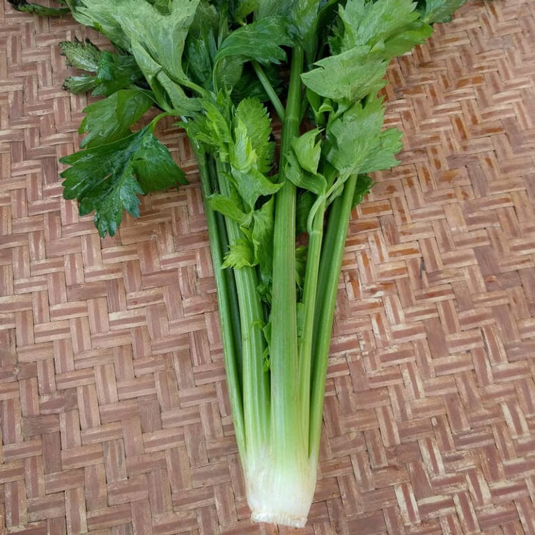 Celery, Ventura (Organic) by Adaptive Seeds - seed packet