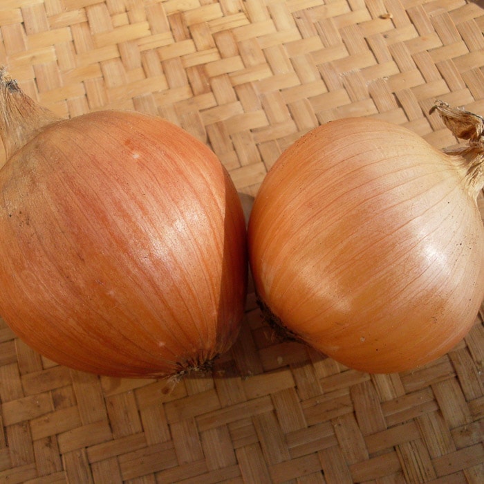 Onion, Newburg (Organic) by Adaptive Seeds - seed packet