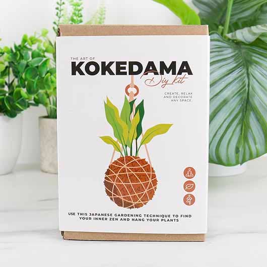 The Art of Kokedama - DIY Kit - Gift Republic