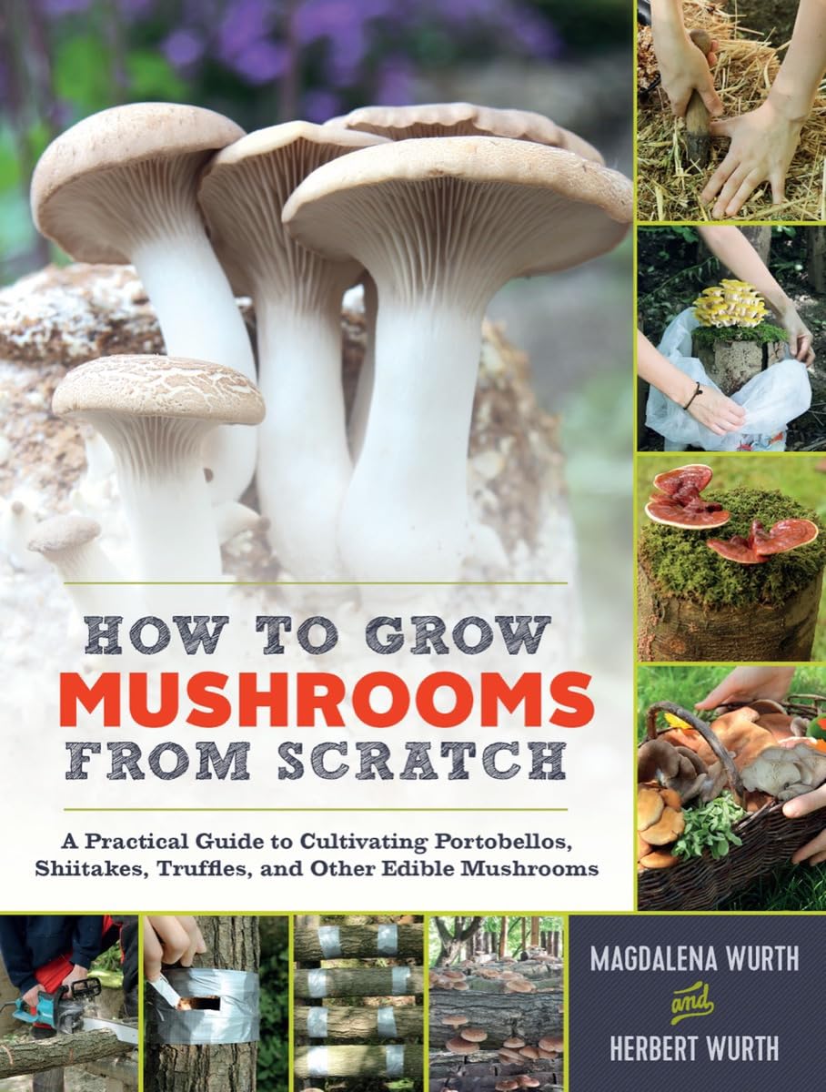 How to Grow Mushrooms from Scratch: A Practical Guide to Cultivating