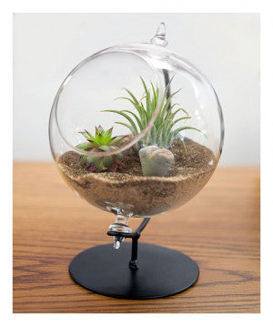 Desktop Glass Terrarium Planter with Metal Stand