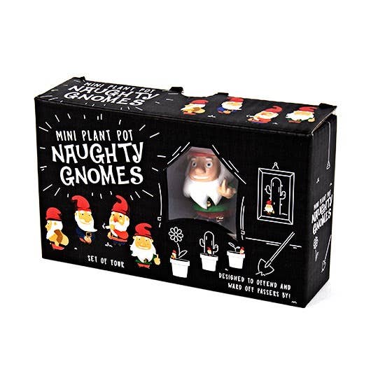 Naughty Gnomes Planter Figurines - Gift Republic