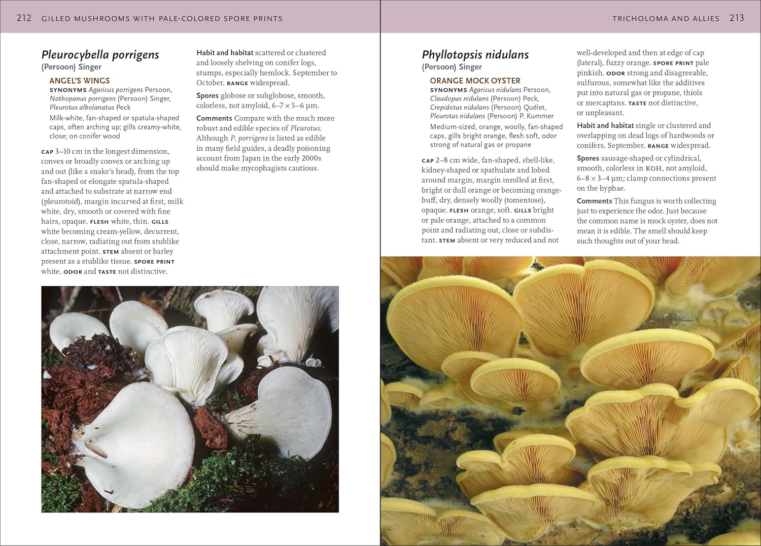 Mushrooms of the Northeastern United States and Eastern Canada: Timber Press Field Guide