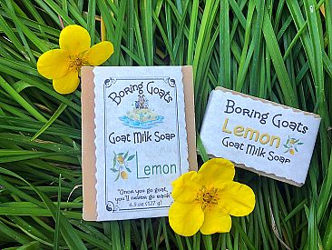 Lemon Goat Milk Soap by Boring Goats (Full Bar)