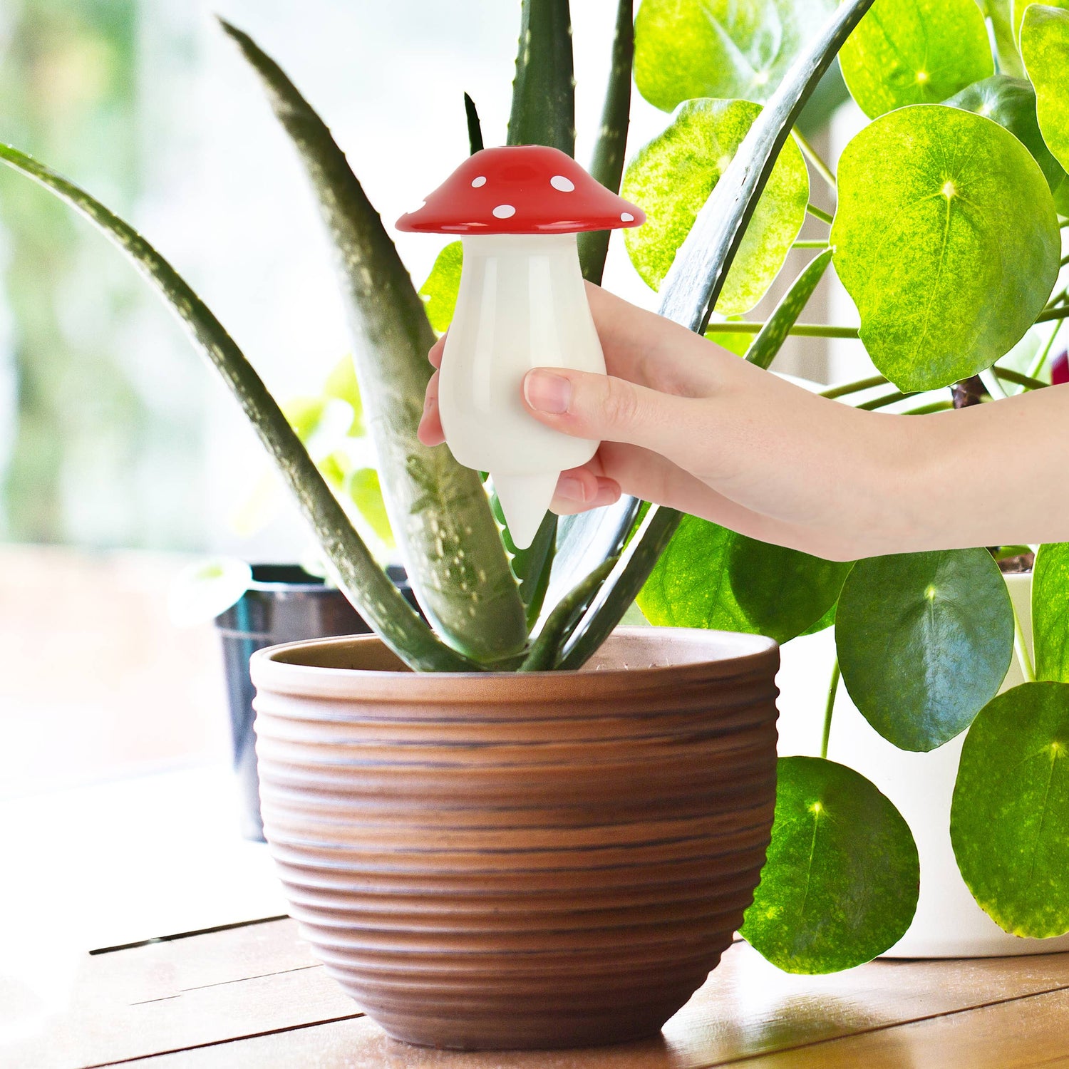 Plant Self Watering Dispenser - Mushroom by Gift Republic