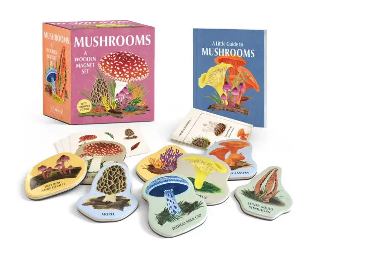 Mushrooms: A Wooden Magnet Set by Meg Madden