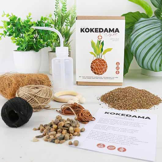 The Art of Kokedama - DIY Kit - Gift Republic