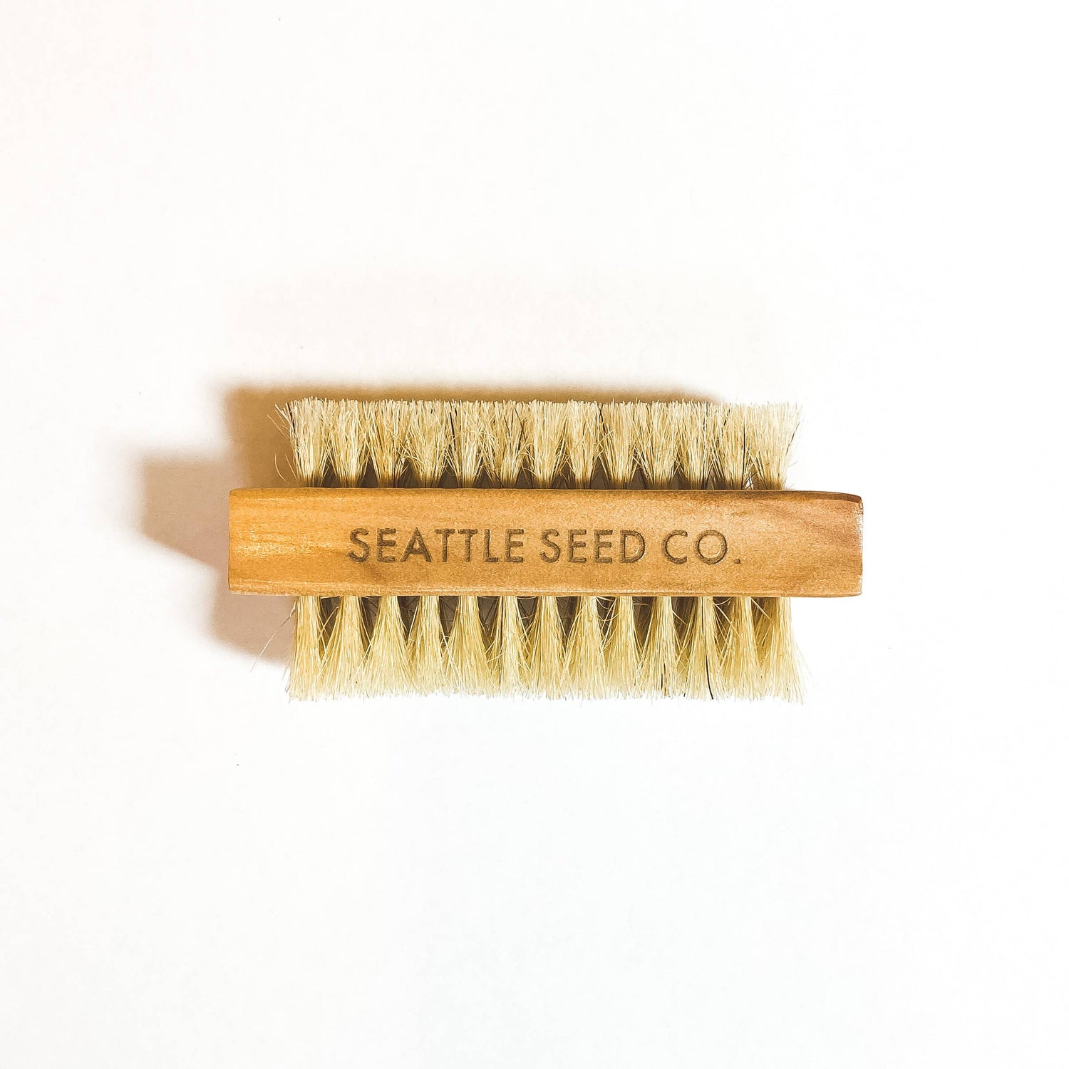 Vegetable and Nail Brush - Seattle Seed Co.