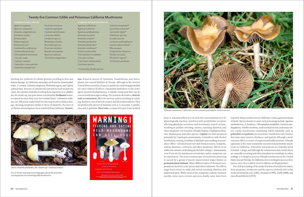 California Mushrooms: The Comprehensive Identification Guide – Urban Ag