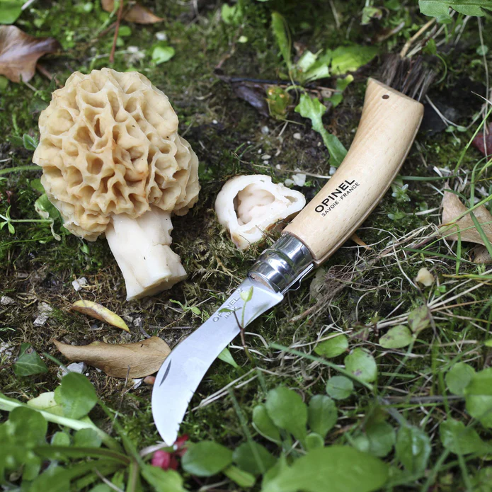 Opinel No.8 Mushroom Knife