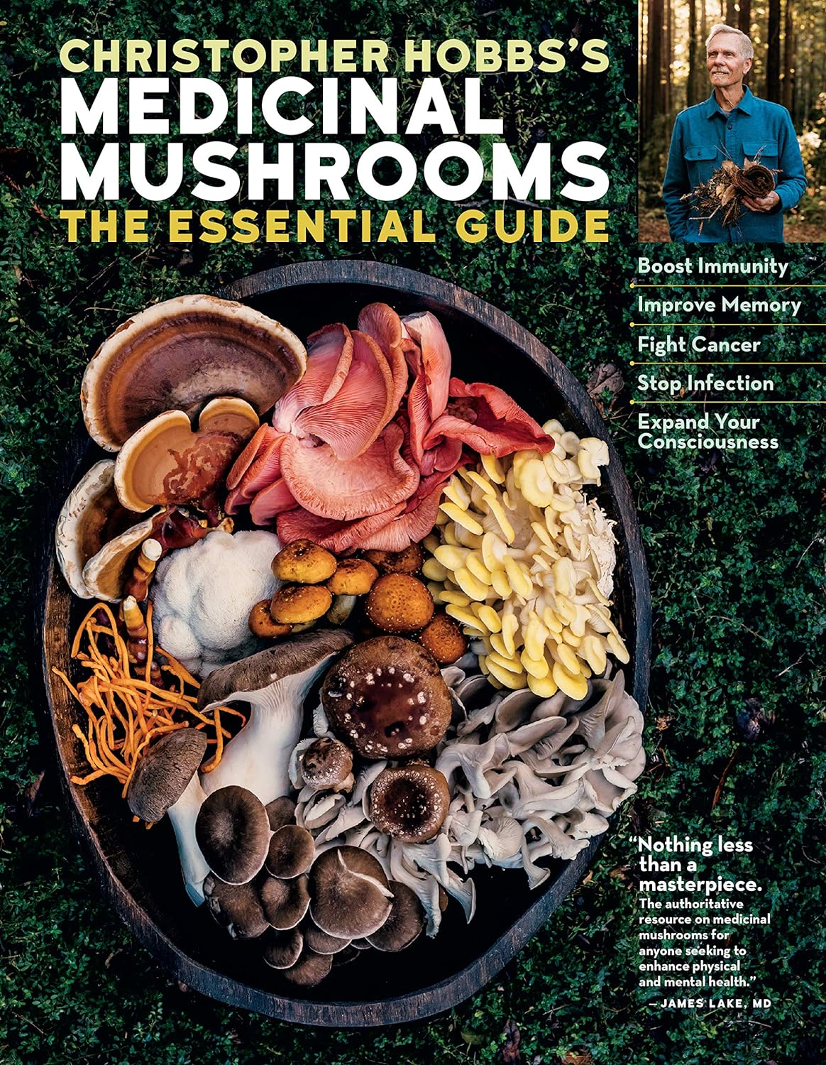 Christopher Hobbs's Medicinal Mushrooms: The Essential Guide: