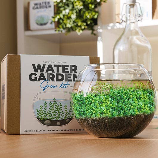 Water Garden DIY Kit - Gift Republic