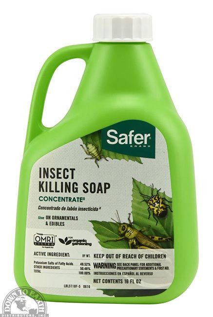 Safer Insect Soap 16oz Conc