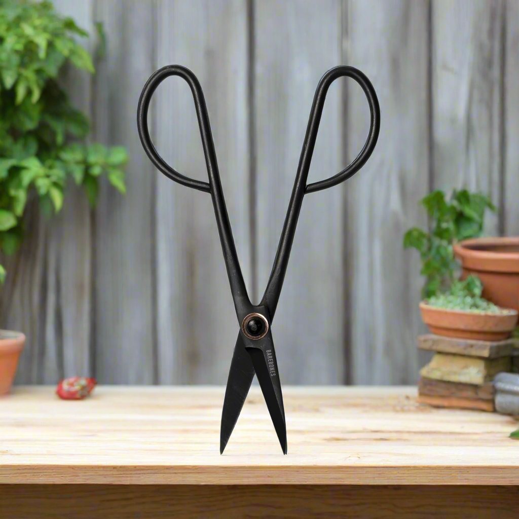 Artisan Trimming Shears by Barebones Living