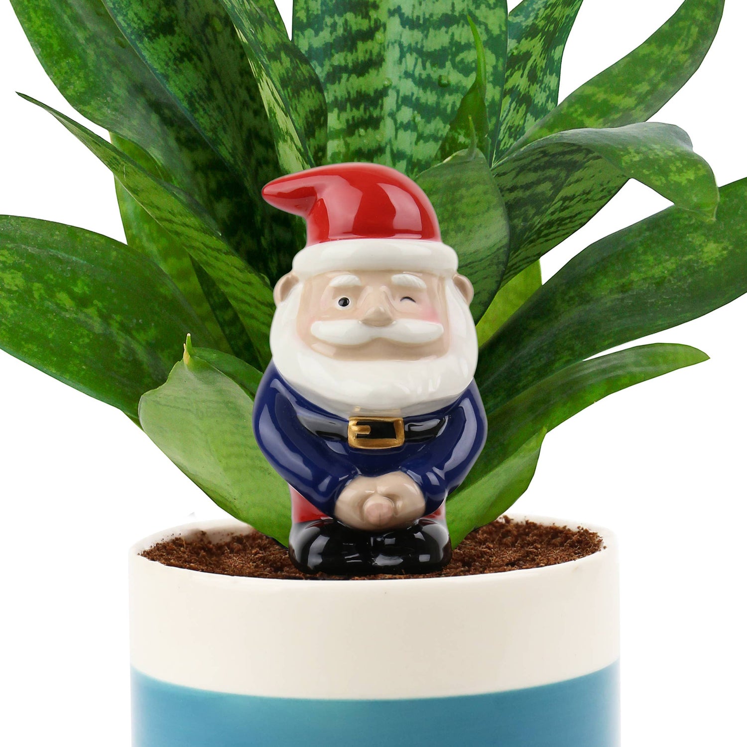 Peeing Gnome - Self Watering Planter Spike