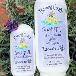 Boring Goats - Goat Milk Lotion Lavender 2 oz