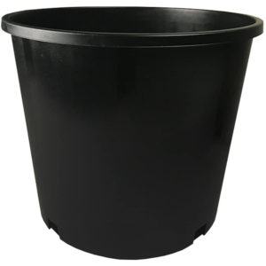 Cali - Premium Black Plastic Pot