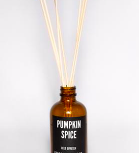 Paradox Candle Co. - Reed Diffusers - PUMPKIN SPICE