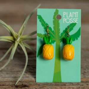 Plant Posse - Pineapple Dangles