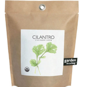 Potting Shed Creations - Cilantro Garden in a Bag Grow Kit